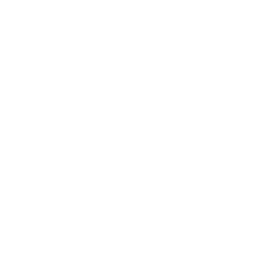 TSA logo-2
